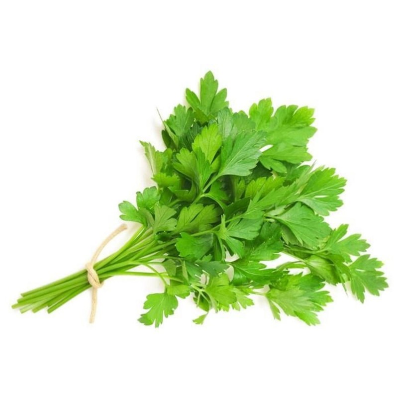 italian-flat-parsley
