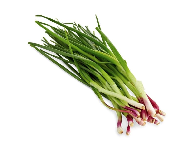 Spring-Onion-1