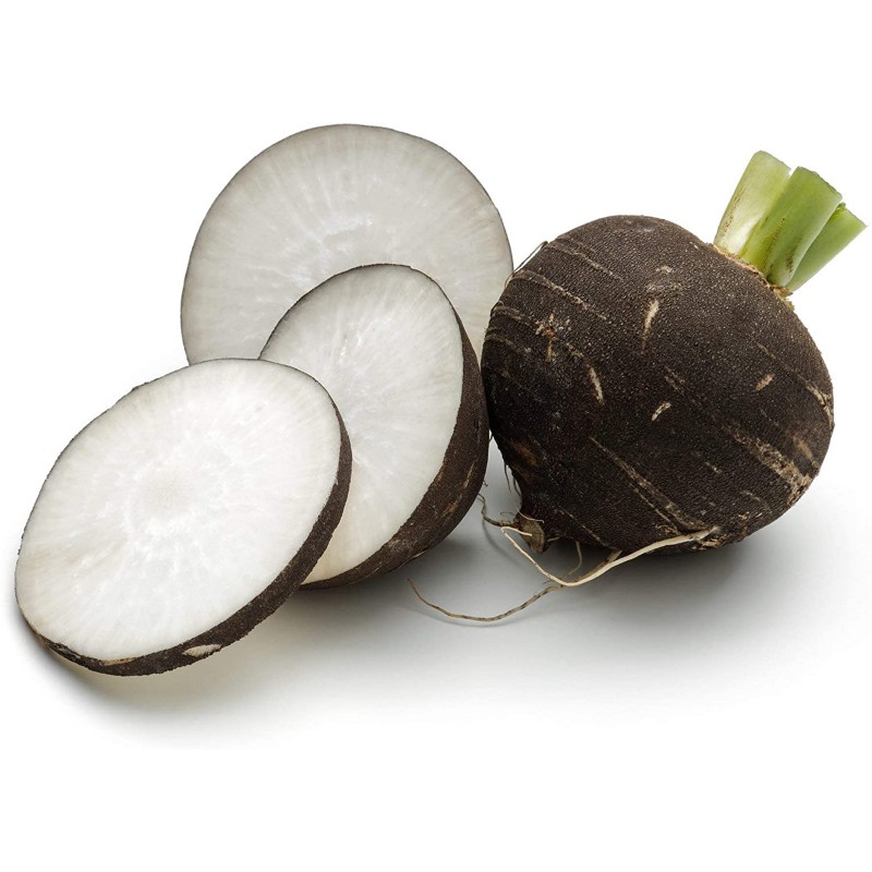 radish-seeds-black-spanish-round