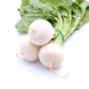 White Radish