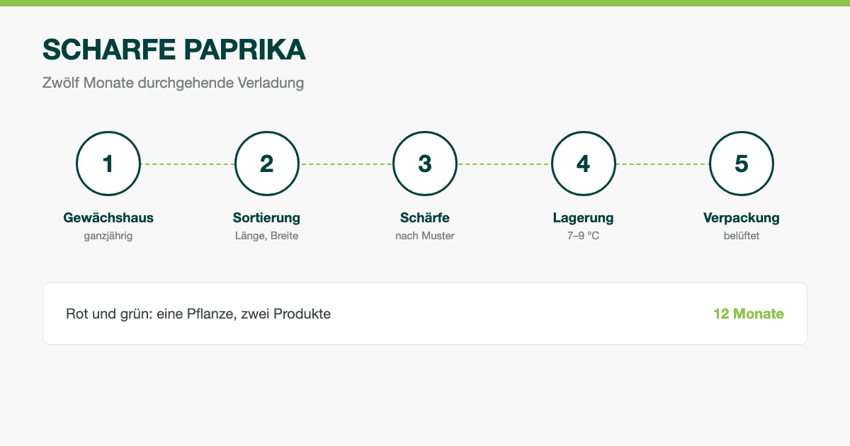 Export scharfer Paprika: ganzjährige Verladung in Rot und Grün