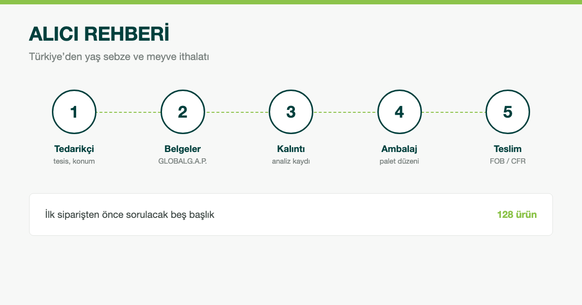 Türkiye'den Yaş Sebze ve Meyve İthalatı: Alıcı Rehberi