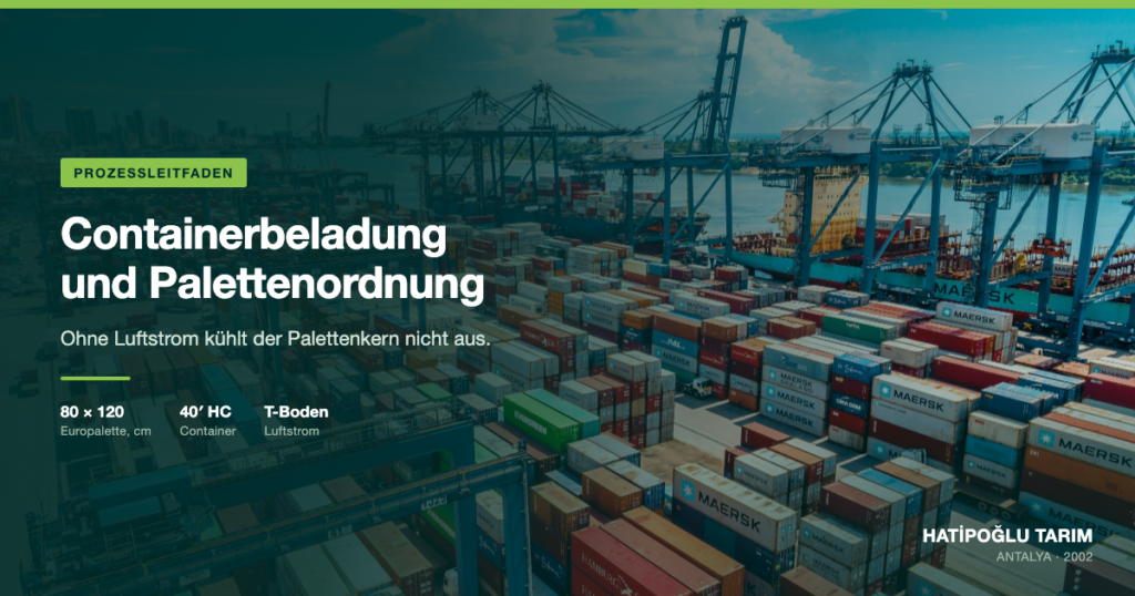 Containerbeladung und Palettenordnung im Export von frischem Obst und Gemüse