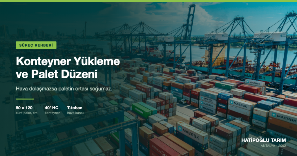 Yaş Sebze ve Meyve İhracatında Konteyner Yükleme ve Palet Düzeni