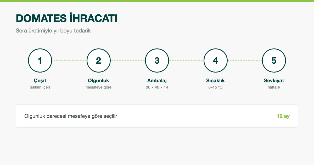 Domates İhracatı: Antalya'dan Yıl Boyu Tedarik ve Çeşit Rehberi