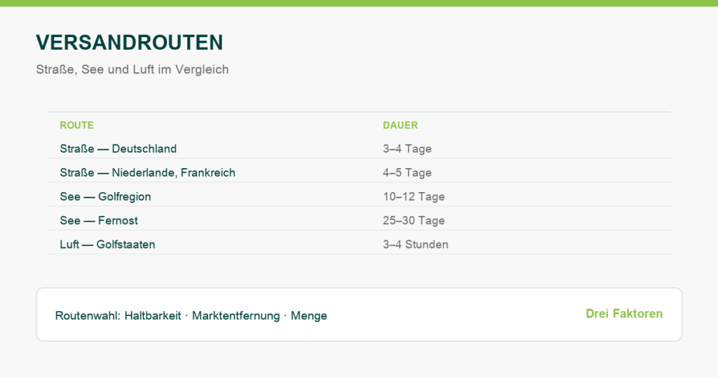 Versandrouten im Export von frischem Obst und Gemüse