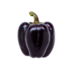 Siyah Kaliforniya Biberi