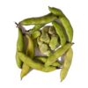 Fresh Broad Beans
