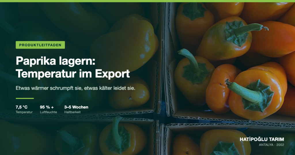 Paprika lagern: Temperatur im Export