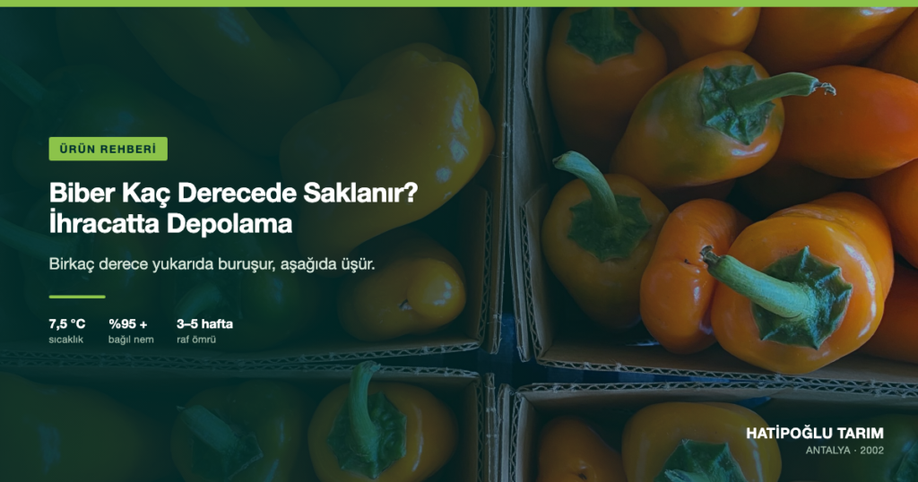 Biber Kaç Derecede Saklanır? İhracatta Depolama