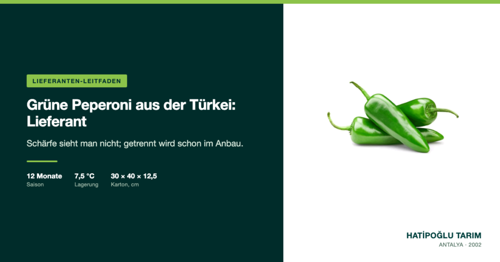 Grüne Peperoni aus der Türkei: Lieferant