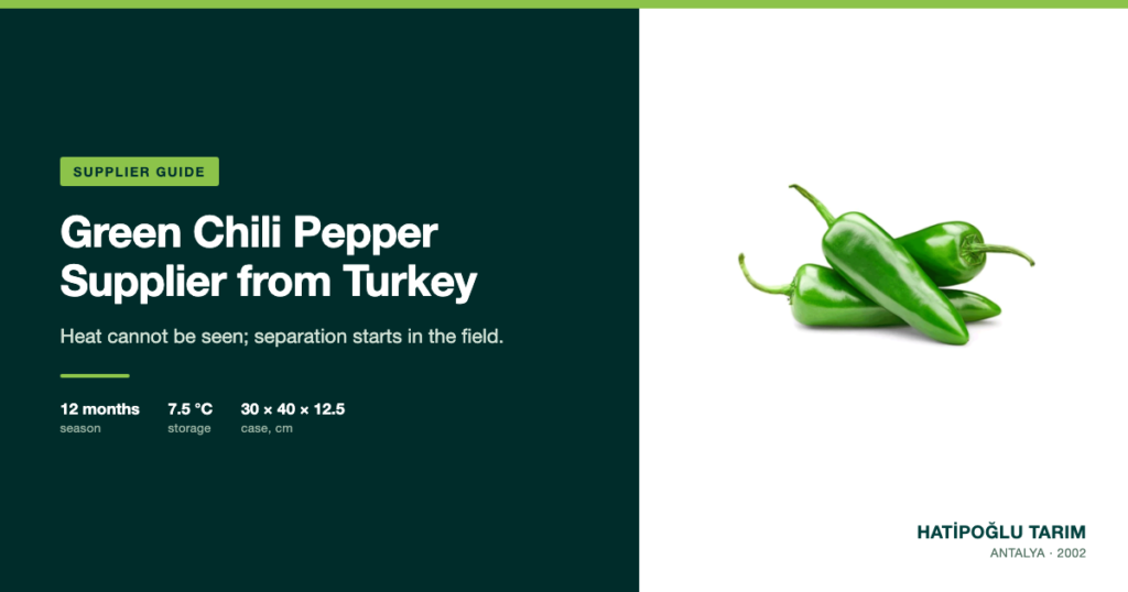 Green Chili Pepper Supplier from Turkey