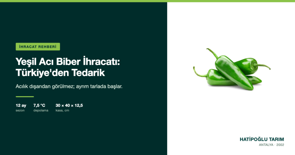 Yeşil Acı Biber İhracatı: Türkiye'den Tedarik