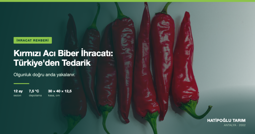 Kırmızı Acı Biber İhracatı: Türkiye'den Tedarik