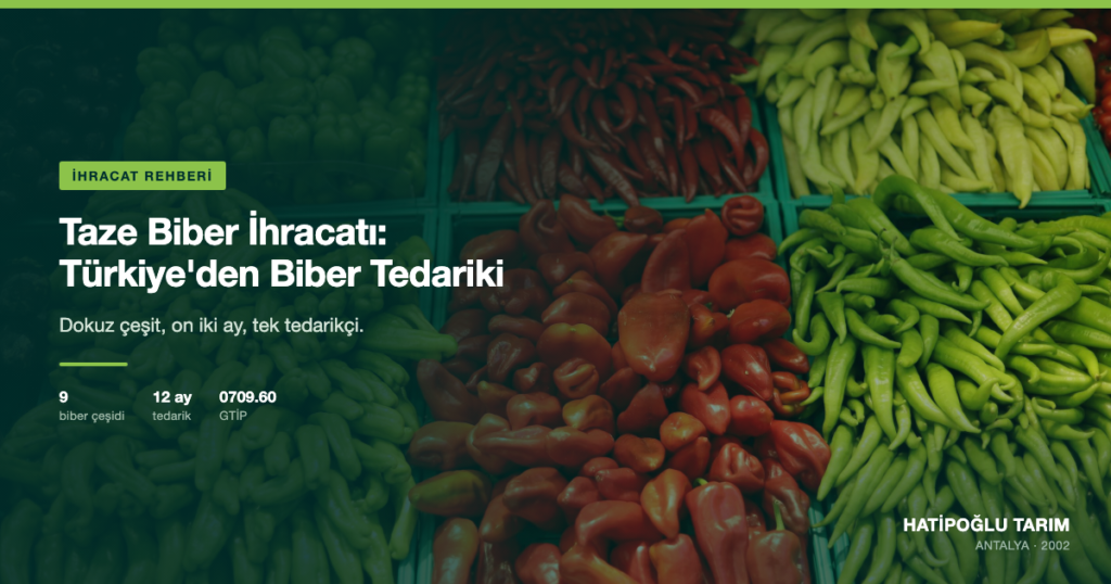 Taze Biber İhracatı: Türkiye'den Biber Tedariki