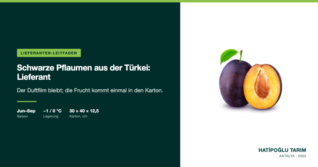 Schwarze Pflaumen aus der Türkei: Lieferant