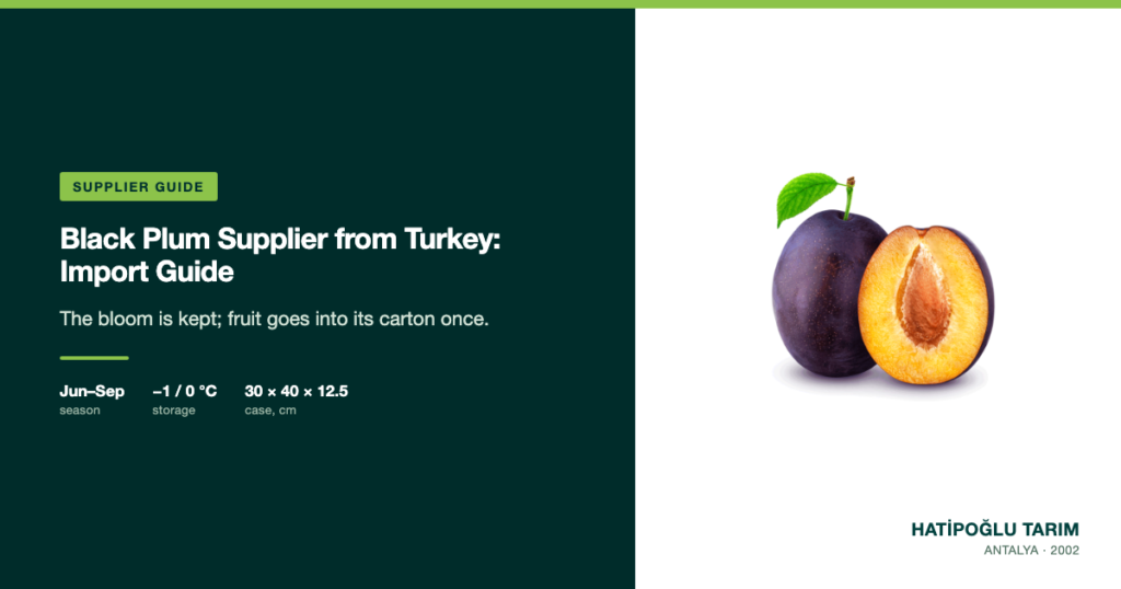 Black Plum Supplier from Turkey: Import Guide