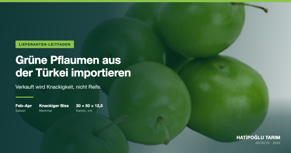 Grüne Pflaumen aus der Türkei importieren