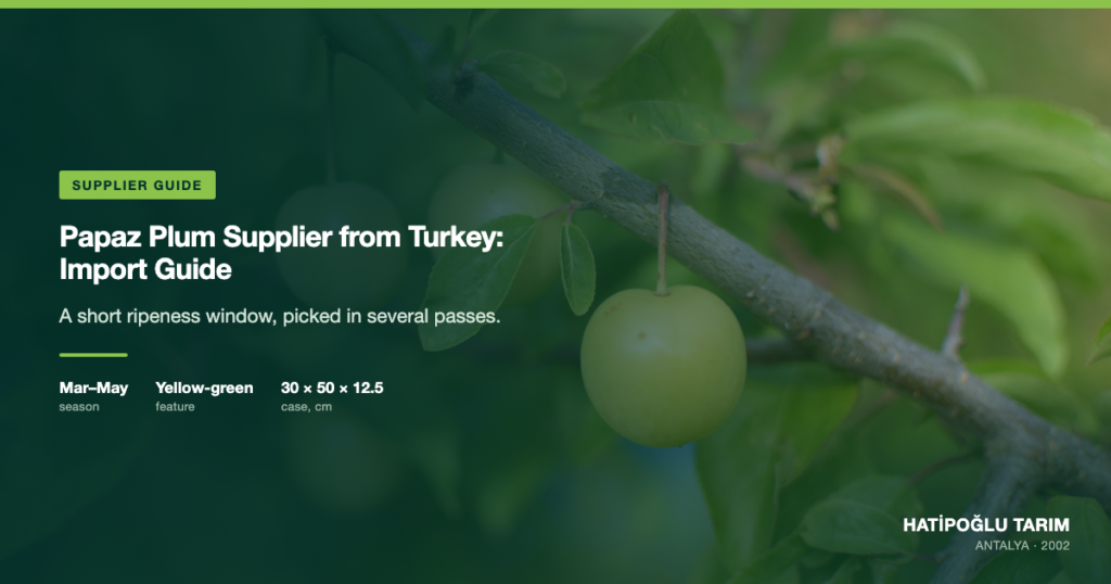 Papaz Plum Supplier from Turkey: Import Guide