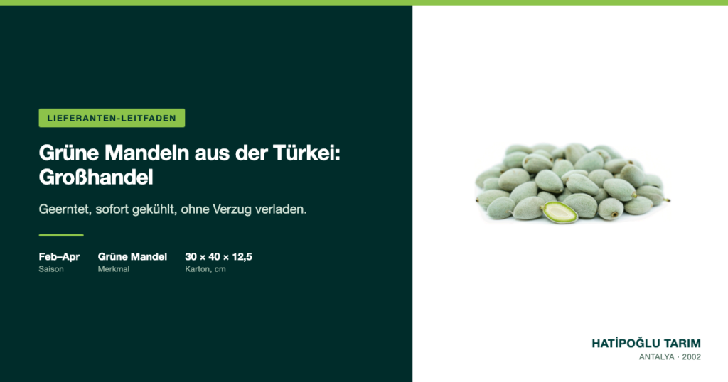Grüne Mandeln aus der Türkei: Großhandel