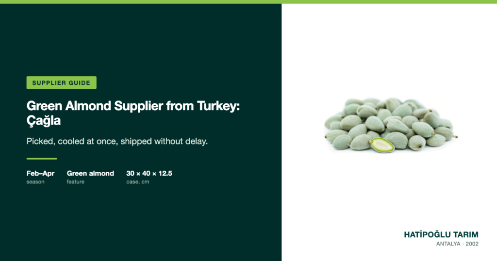 Green Almond Supplier from Turkey: Çağla