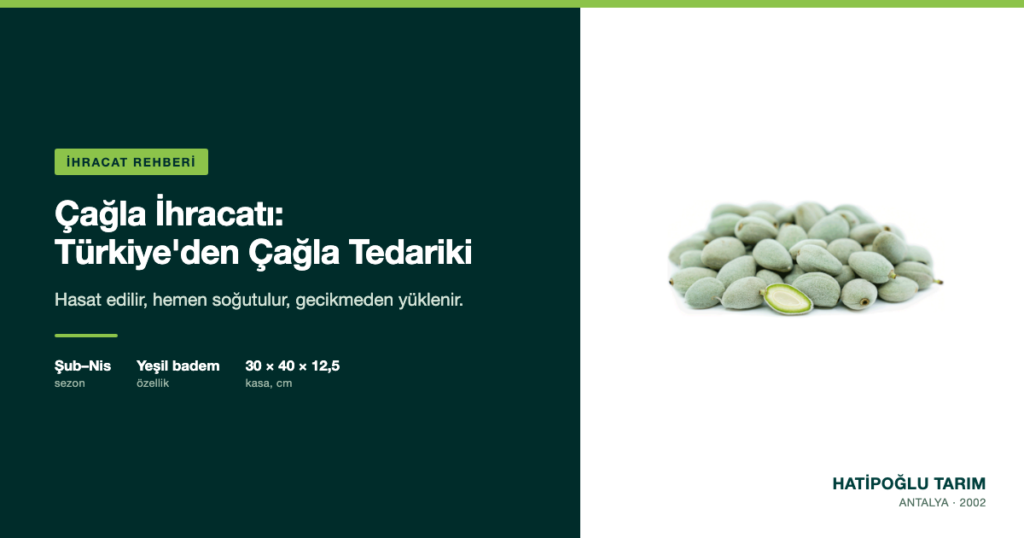 Çağla İhracatı: Türkiye'den Çağla Tedariki
