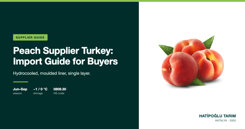 Peach Supplier Turkey: Import Guide for Buyers