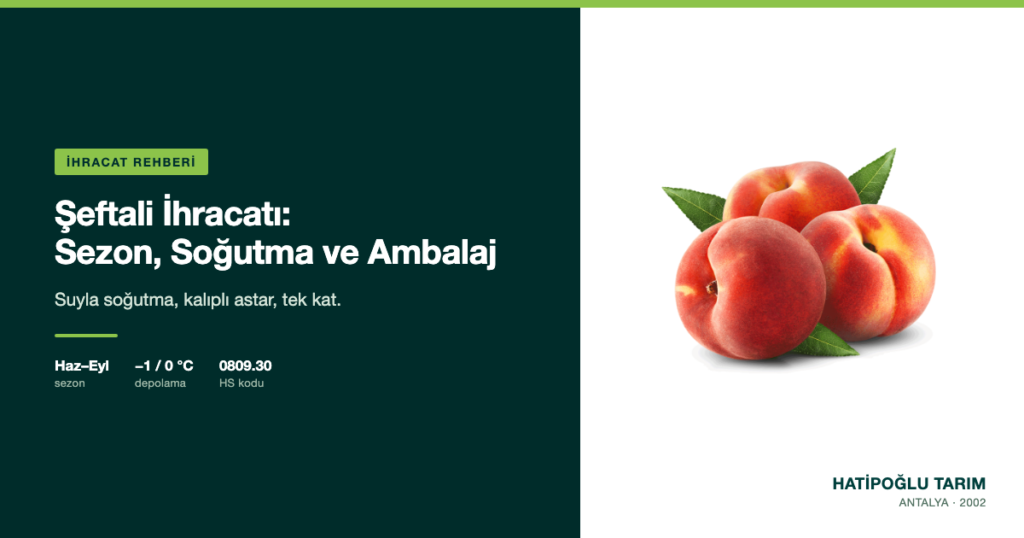 Şeftali İhracatı: Sezon, Soğutma ve Ambalaj