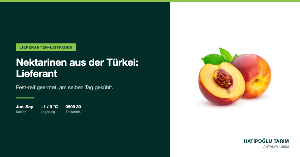 Nektarinen aus der Türkei: Lieferant
