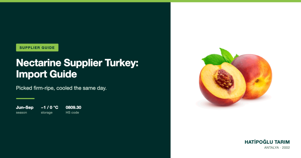 Nectarine Supplier Turkey: Import Guide