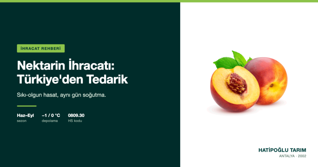 Nektarin İhracatı: Türkiye'den Tedarik