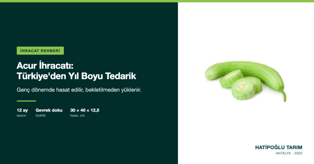 Acur İhracatı: Türkiye'den Yıl Boyu Tedarik