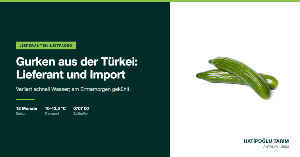Gurken aus der Türkei: Lieferant und Import