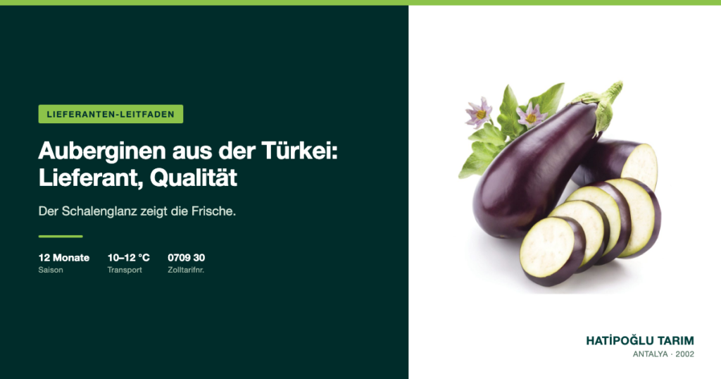 Auberginen aus der Türkei: Lieferant, Qualität