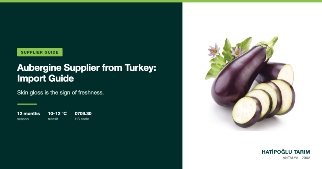 Aubergine Supplier from Turkey: Import Guide
