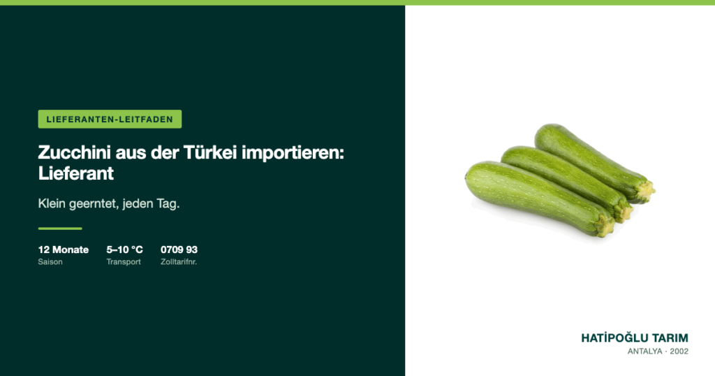 Zucchini aus der Türkei importieren: Lieferant