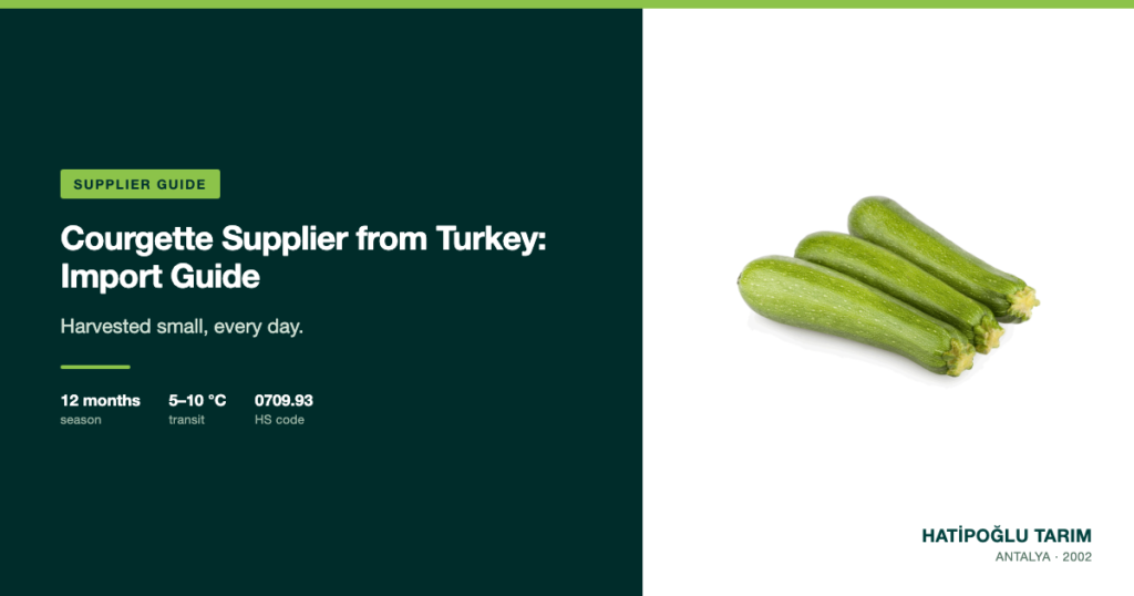 Courgette Supplier from Turkey: Import Guide