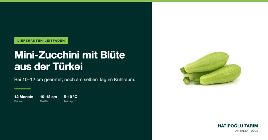 Mini-Zucchini mit Blüte aus der Türkei