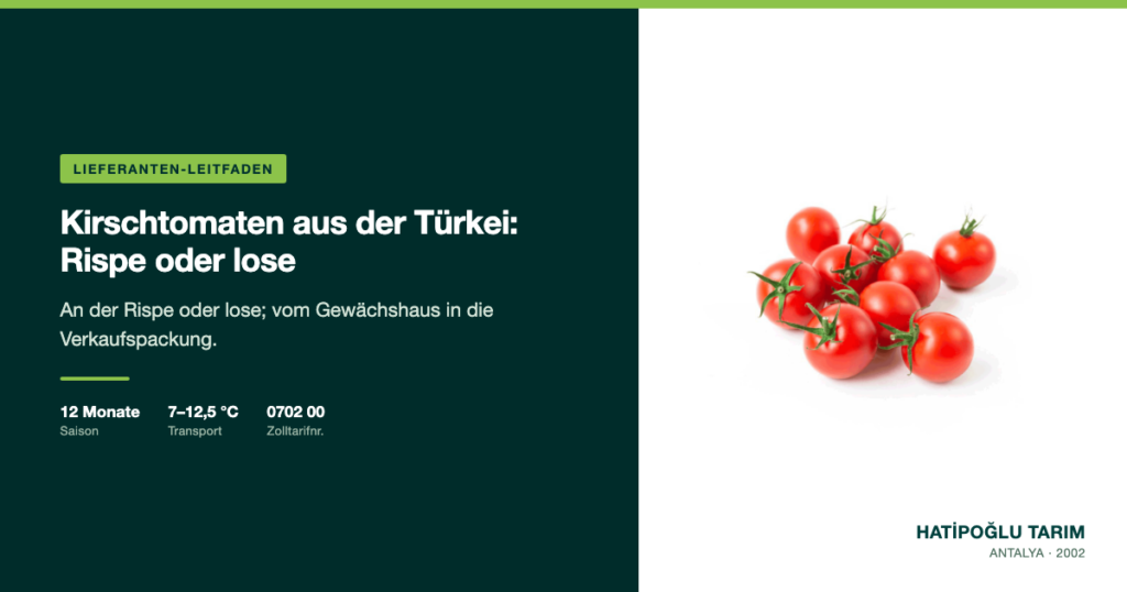 Kirschtomaten aus der Türkei: Rispe oder lose