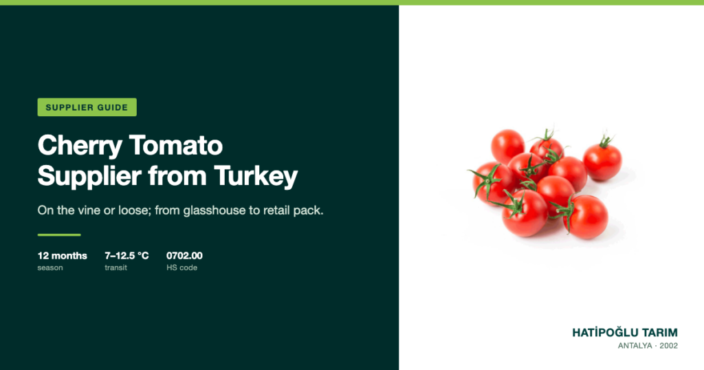Cherry Tomato Supplier from Turkey