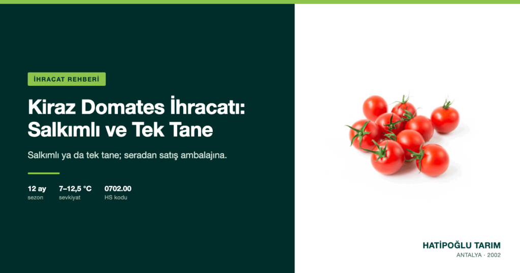 Kiraz Domates İhracatı: Salkımlı ve Tek Tane