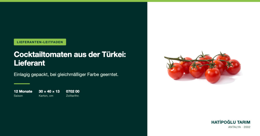 Cocktailtomaten aus der Türkei: Lieferant