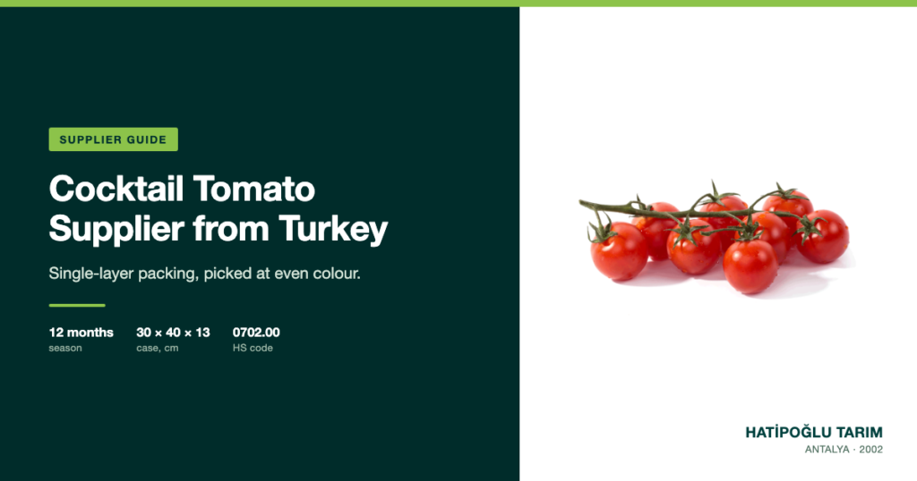 Cocktail Tomato Supplier from Turkey