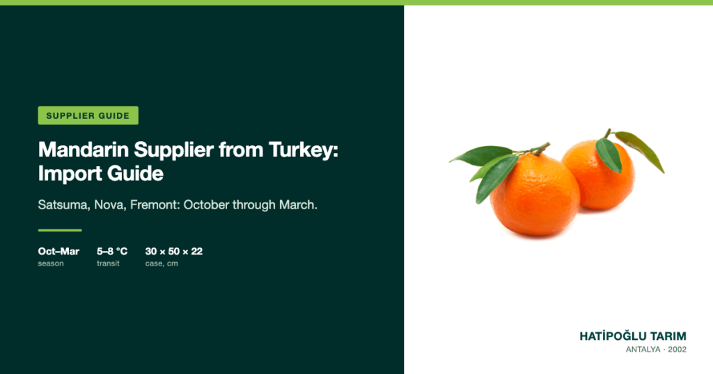 Mandarin Supplier from Turkey: Import Guide
