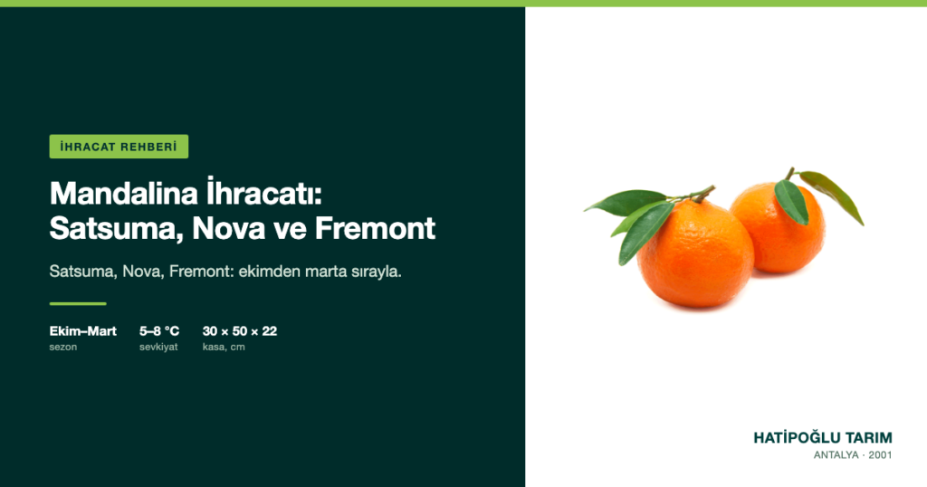 Mandalina İhracatı: Satsuma, Nova ve Fremont