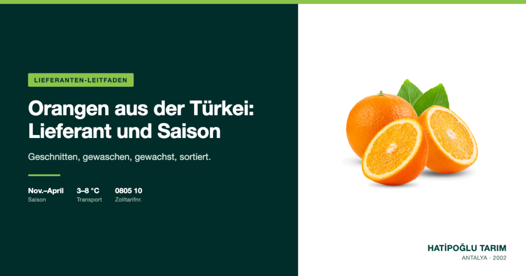 Orangen aus der Türkei: Lieferant und Saison