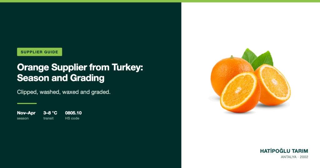 Orange Supplier from Turkey: Season and Grading
