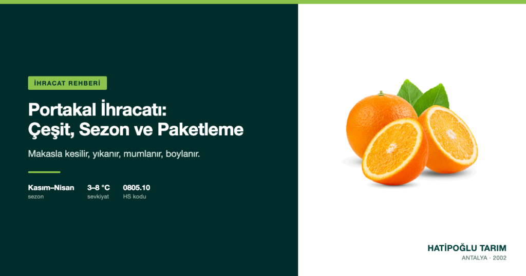 Portakal İhracatı: Çeşit, Sezon ve Paketleme