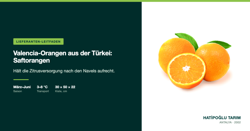 Valencia-Orangen aus der Türkei: Saftorangen