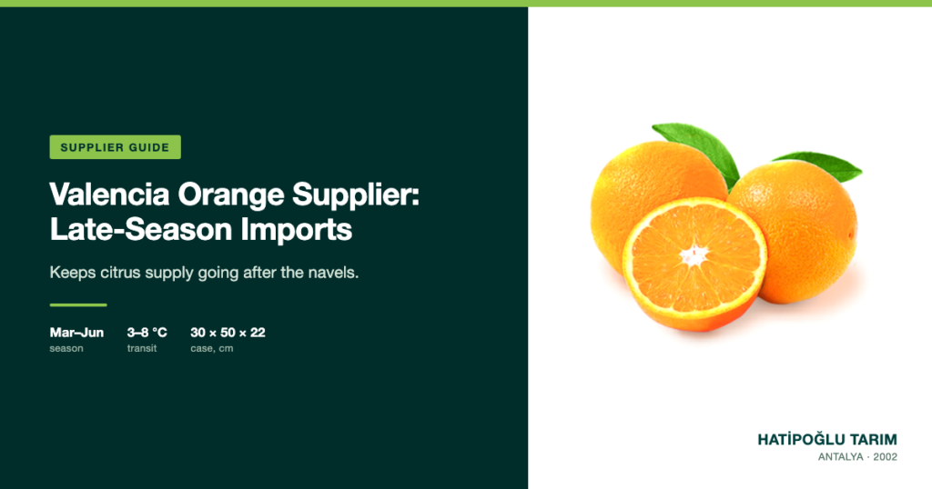 Valencia Orange Supplier: Late-Season Imports